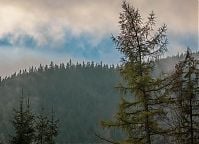 Zakopane - plener grup dziennych Warszawskiej Szkoły Reklamy. 22-26 X 2018 r. Fot. Gabriela Lubowicka