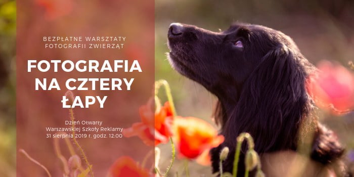 Fotografia na cztery łapy - bezpłatne warsztaty i Dzień Otwarty Warszawskiej Szkoły Reklamy. Zapraszamy 31 sierpnia 2019 r. (sobota) o godzinie 12:00